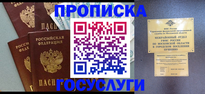 прописка гарантия в Порхове